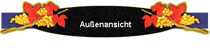 Auenansicht